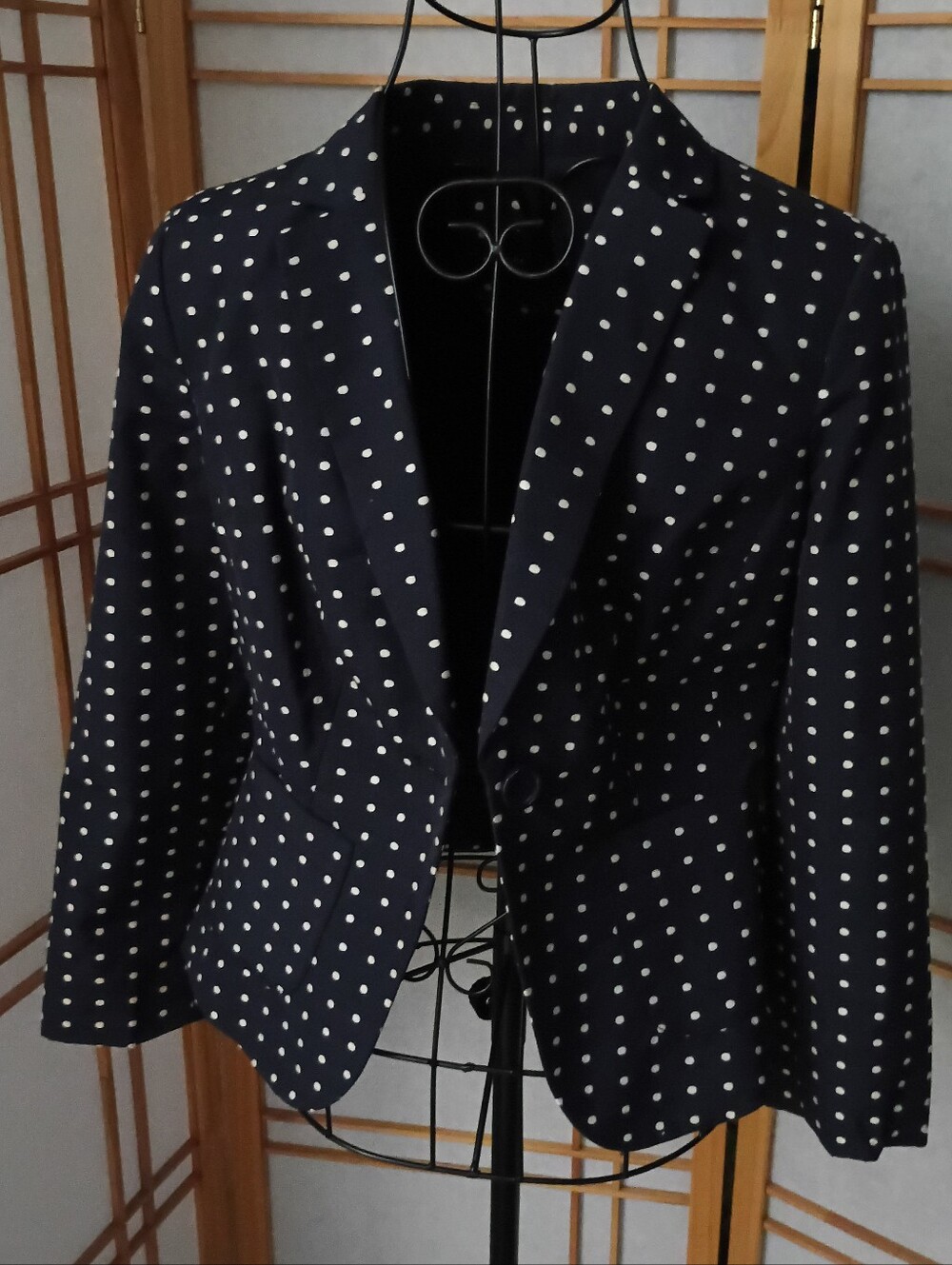 The Limited Navy Polka Dot Single-Button Blazer